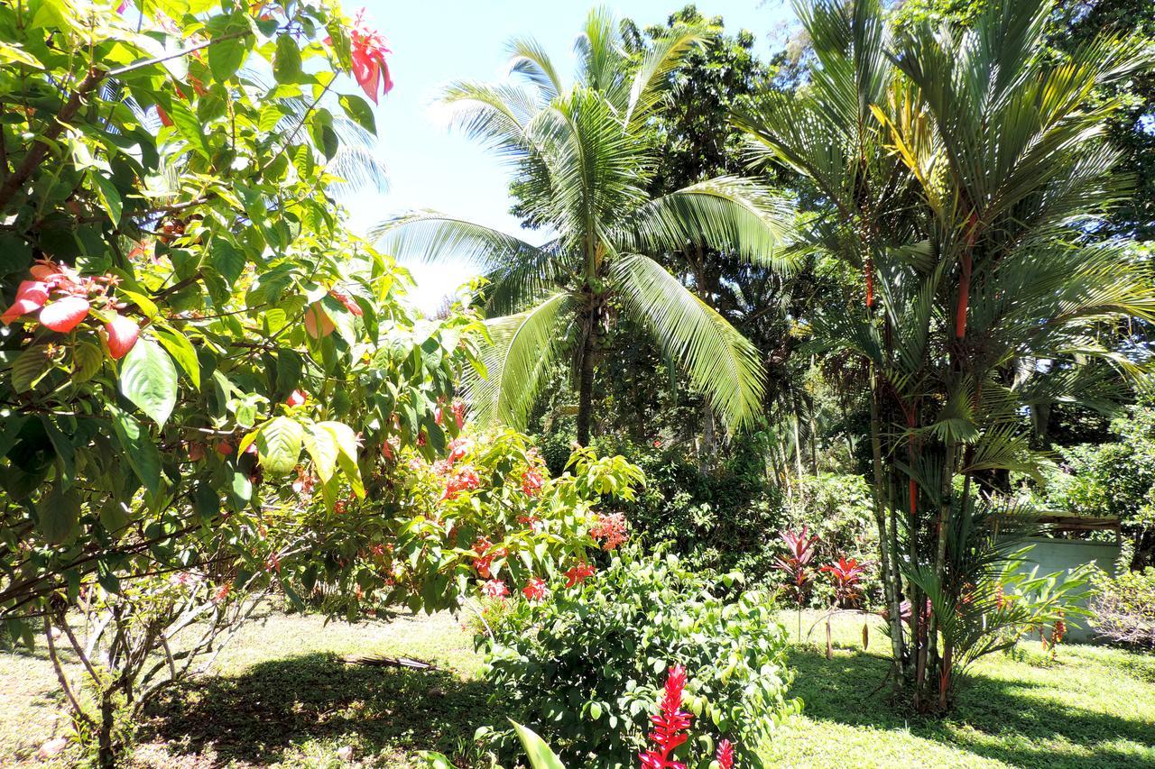 Rosa Lodge Cahuita Eksteriør bilde