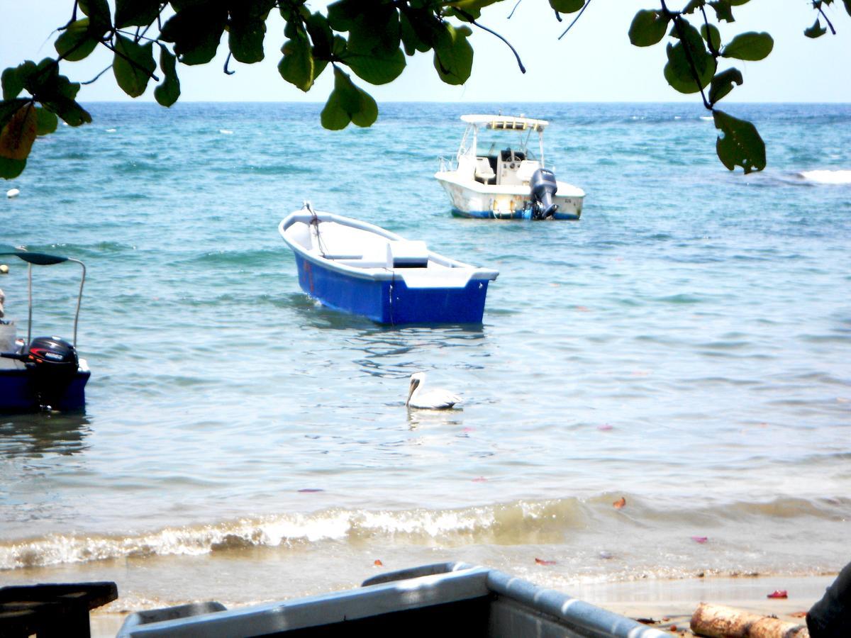 Rosa Lodge Cahuita Eksteriør bilde