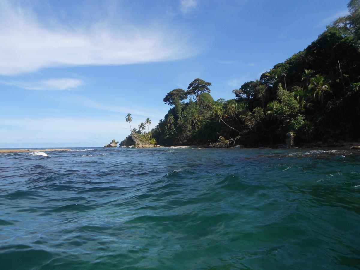 Rosa Lodge Cahuita Eksteriør bilde